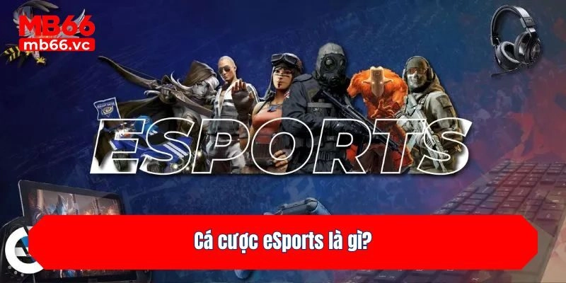 Cá cược eSports là gì?