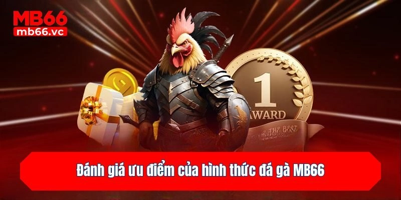 Đánh giá ưu điểm của hình thức đá gà MB66