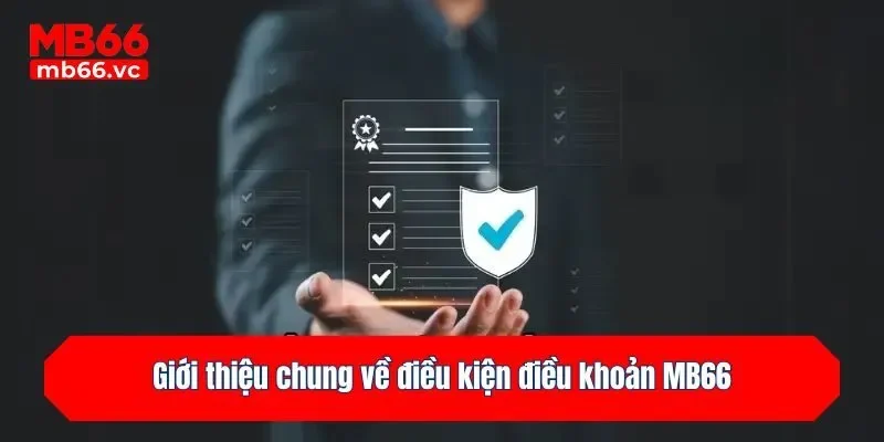 Giới thiệu chung về điều kiện điều khoản MB66