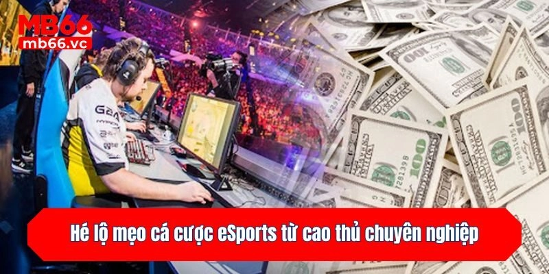 Hé lộ mẹo cá cược eSports từ cao thủ chuyên nghiệp