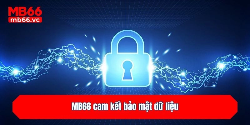 MB66 cam kết bảo mật dữ liệu