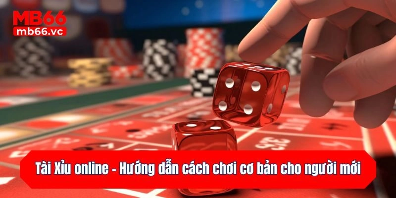 Tài Xỉu online - Hướng dẫn cách chơi cơ bản cho người mới