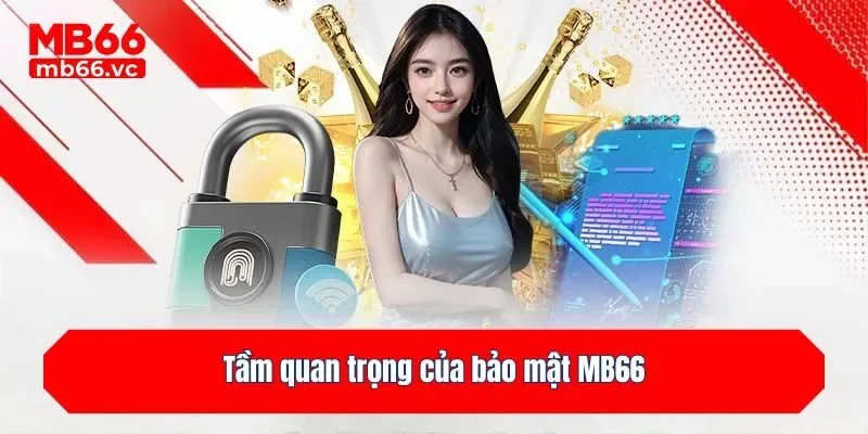 Tầm quan trọng của bảo mật MB66