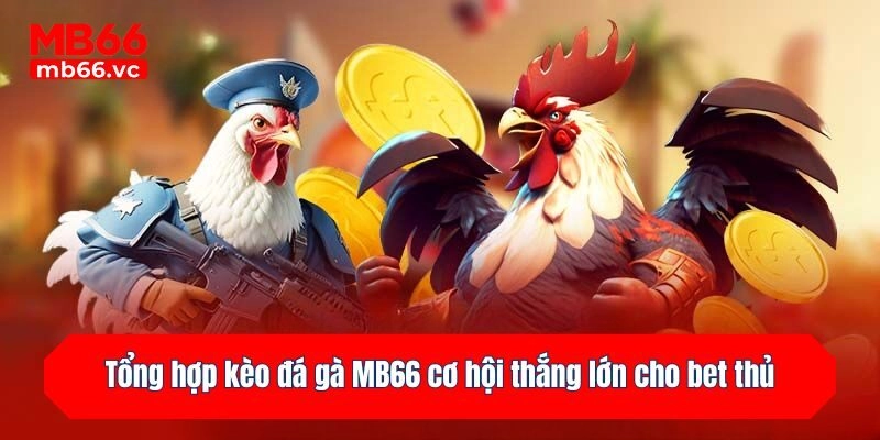Tổng hợp kèo đá gà MB66 cơ hội thắng lớn cho bet thủ